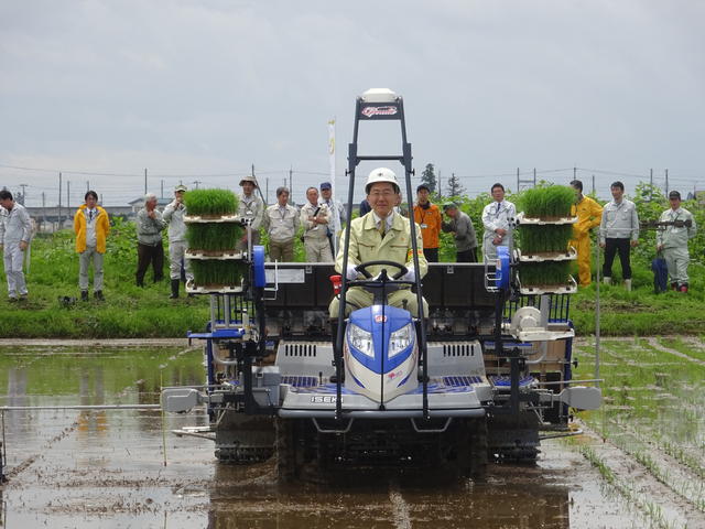 「金色の風」田植え写真1