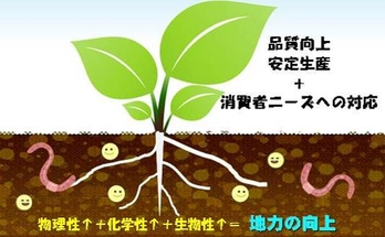 堆肥の効果の図