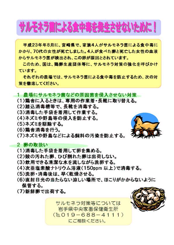 サルモネラ菌による食中毒を発生させないために！のチラシ