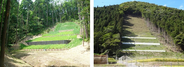 写真：山腹