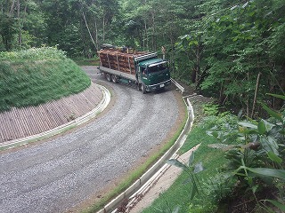 平成27年鎌峯沢線（木材搬出）