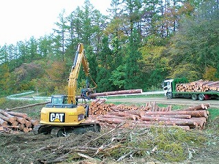 平成27年浪打姉帯線（高性能林業機械による造材作業）