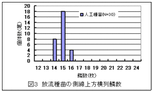 放流種苗の側線横列鱗数の棒グラフ