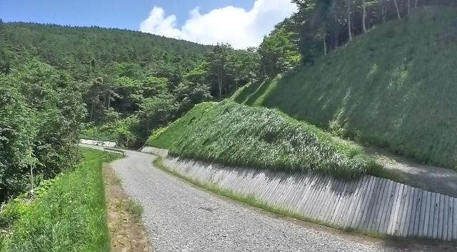 写真：鈴峠1号線