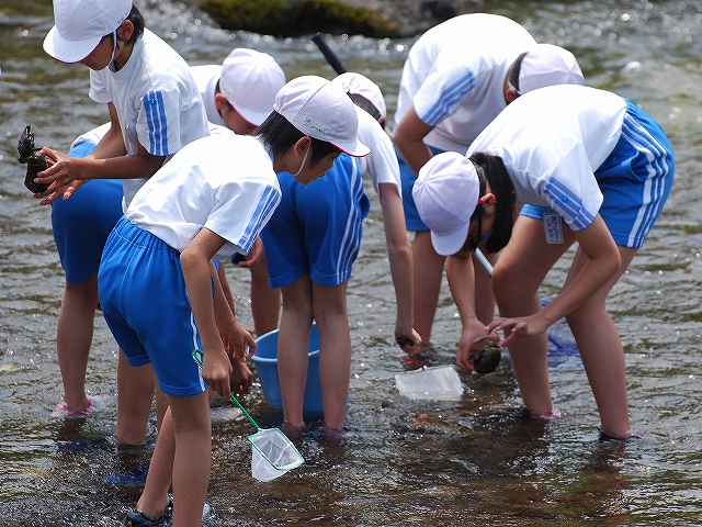 平成29年6月28日簗川いきもの調査写真