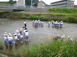 簗川いきもの調査の写真3