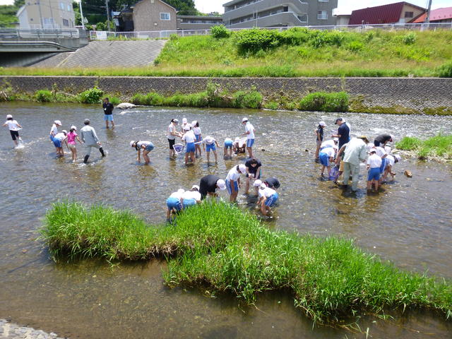 いきもの調査の写真3