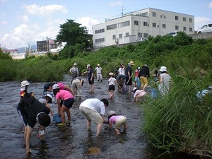 川での生きもの調査の写真