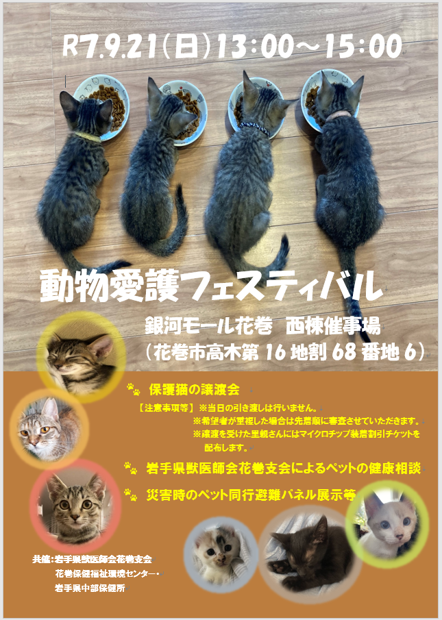 動物愛護フェスティバルのポスター