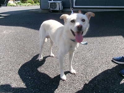 inu20250731-3