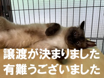黒真珠ちゃん