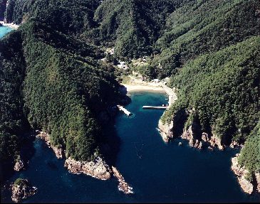 姉吉漁港の航空写真