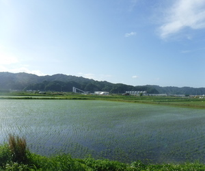 津軽石・赤前