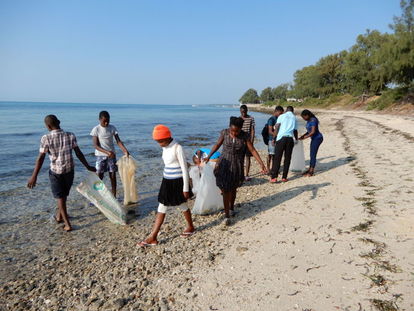 写真：海岸清掃の様子