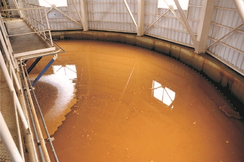 写真：バクテリア回収槽