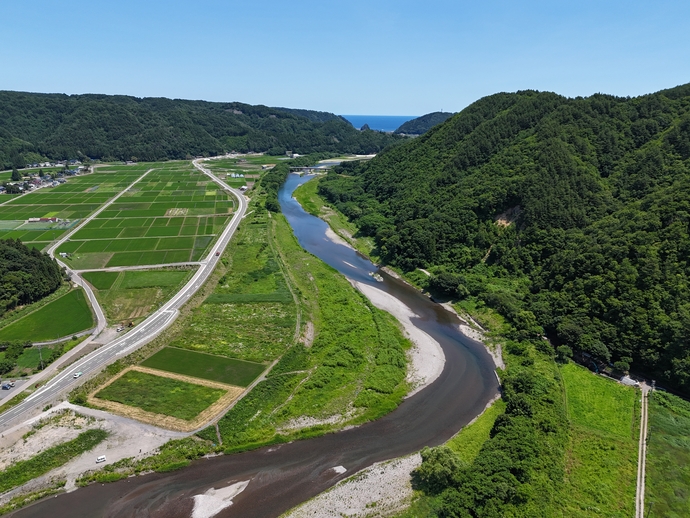 令和6年6月　撮影