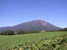 滝沢村鵜飼字花平の村道から見る牧草地と岩手山の景観