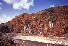 八幡平市安代新田、新田大橋手前から見る安比川沿い紅葉の景観