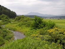 八幡平市の市道川原目線川原目橋から見る七時雨山と涼川の景観