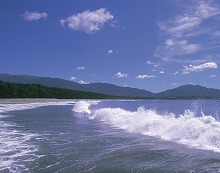 陸前高田市高田松原海水浴場から見る高田松原の景観