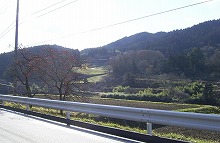 陸前高田市の高田街道太田地区付近から見る天南山麓の景観