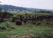 久慈市宇部町（国道45号線沿い）から見る緑（植え木）の景観