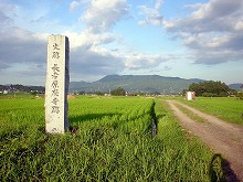 奥州市衣川区長者原廃寺跡周辺から見る束稲山の景観