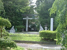 奥州市水沢区中上野町の水沢公園から見る駒形神社と杜の景観