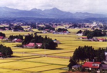 奥州市の見分森公園から見る胆沢区の散居集落の景観