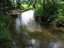 遠野市土淵町カッパ淵橋から見るカッパ淵の景観