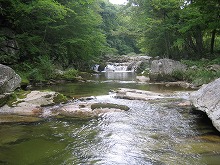 遠野市附馬牛町重湍渓下流から見る重湍渓の景観