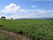 遠野市附馬牛町耳切山から見る荒川高原の景観