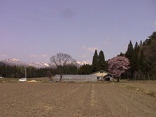 西和賀町沢内　北長瀬野の清吉稲荷付近から見る和賀山塊と農村の景観