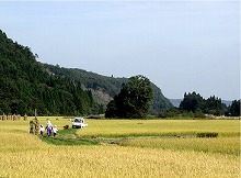 一関市本寺地区から見る若神子神社の景観