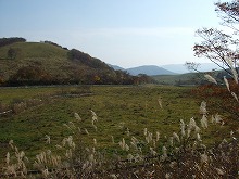 県道折壁大原線から見る室根高原牧場の景観