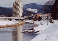 盛岡市加賀野から見る白鳥のいる中津川の景観