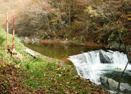 河川の写真1