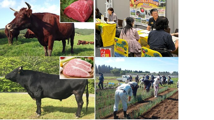 農林水産業の写真