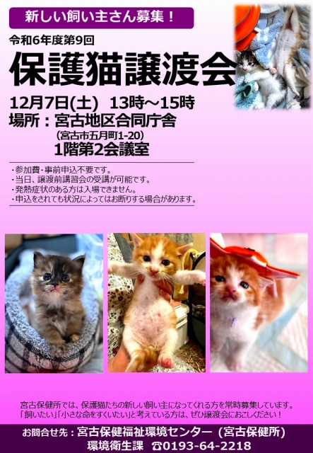 保護猫譲渡会ポスター