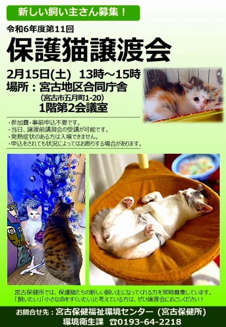 保護猫譲渡会ポスター