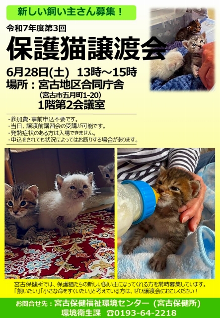 保護猫譲渡会ポスター