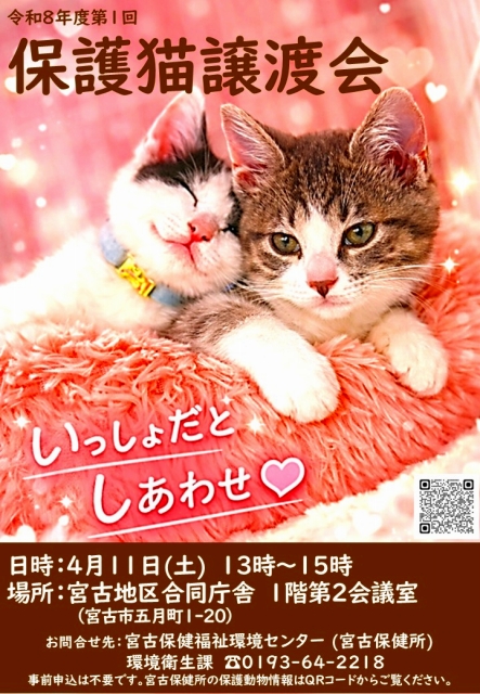 保護猫譲渡会ポスター