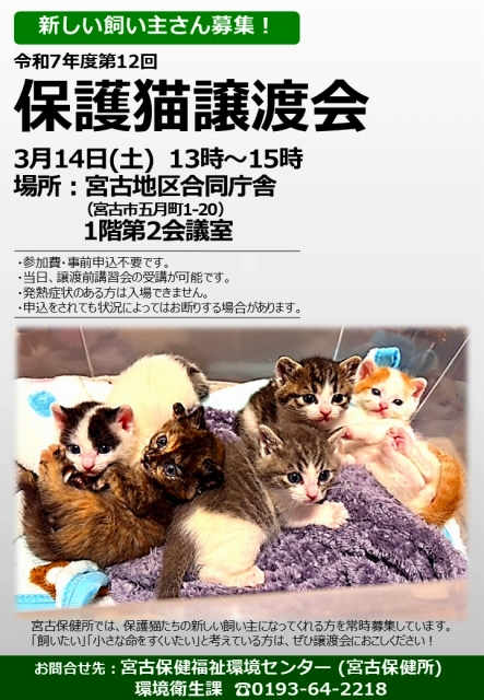 第12回保護猫譲渡会ポスター