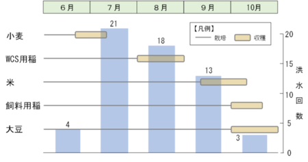 月ごとの洪水回数と収穫時期のグラフ