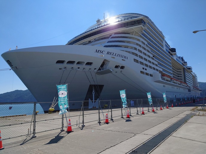 クルーズ船寄港時の様子