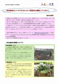 内丸緑地のヒマラヤスギについて御意見を募集しています！