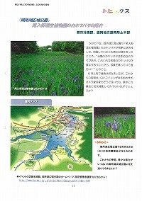 御入野湿生植物園のカキツバタが見ごろです！