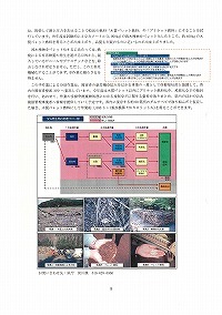 流木の再資源化の取組み（綱取ダム）