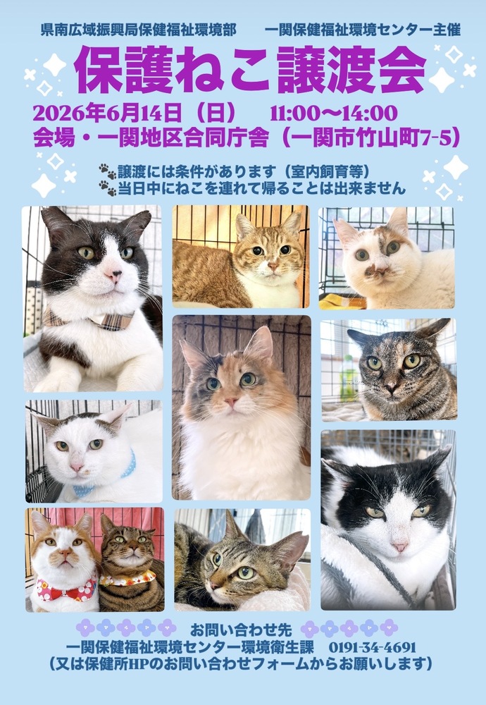 20260517posuta- 