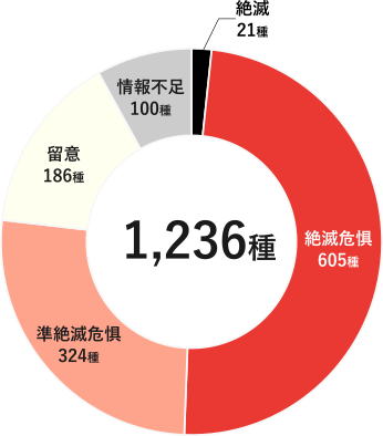 2024年度版レッドリストの掲載種数のうちわけを、カテゴリー区分ごとに示した図